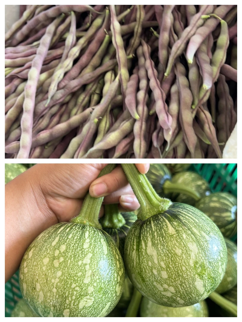 贵州新鲜当季蔬菜 小南瓜 棒豆组合 可炒 可煮素瓜豆
