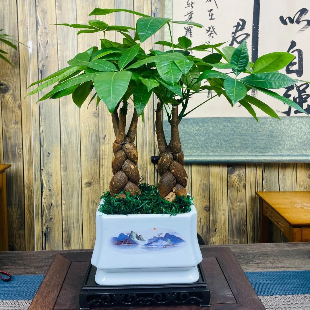 辫子三阳开泰六六大顺山水陶瓷盆