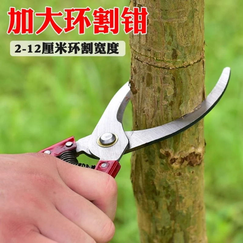 。果树环割刀环剥刀环枝剪 荔枝柑桔蜜柚果树剥皮环剥刀芽接