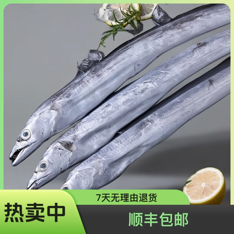 大连渤海湾刀鱼3斤(3条)新鲜海鲜丰收季顺丰包邮嫌破肚勿拍
