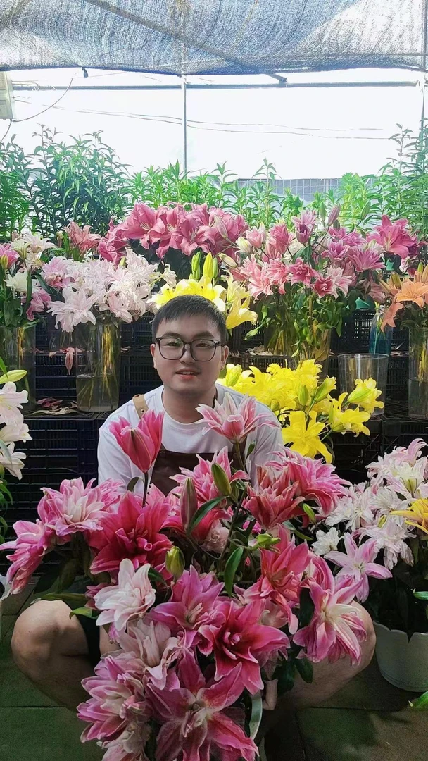 春季百合种球《艾琳娜重瓣香水百合》四季可种百合种球1颗 14-16