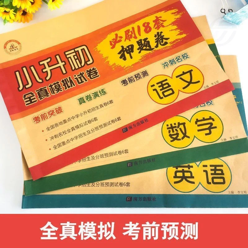 2023年小升初全真模拟试卷必刷18套押题卷语数英语考前突破人教版