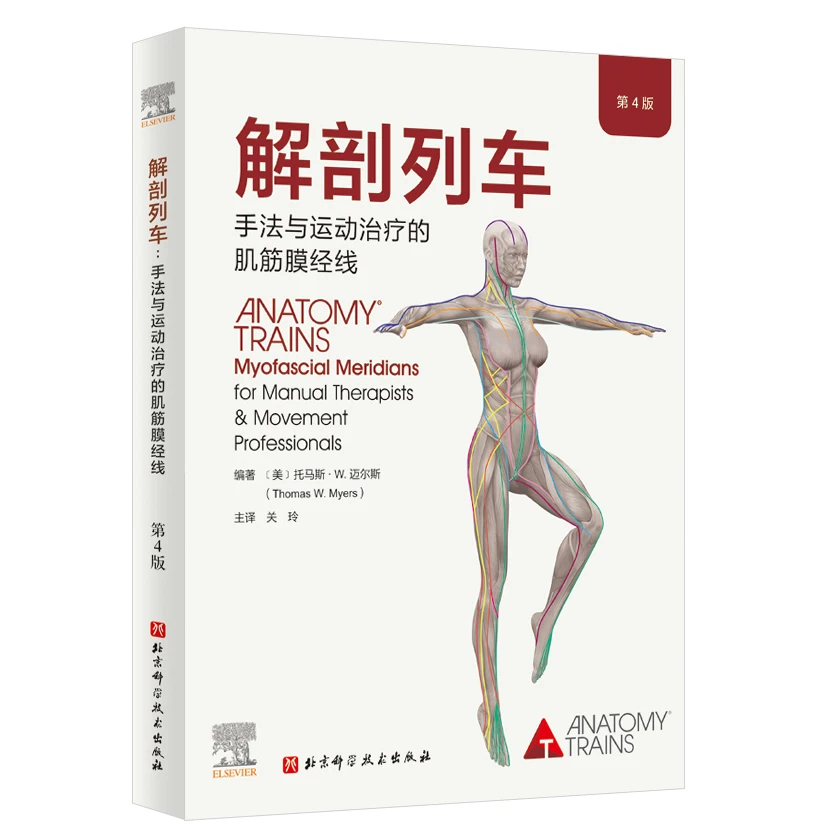 解剖列车：手法与运动治疗的肌筋膜经线（第4版）