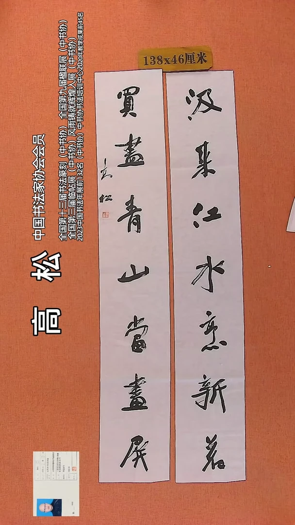 【闪购商品】书法308    中书协会员高松老师作品