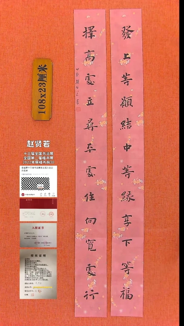 【闪购商品】书法81  十三届国展入展赵贤若老师作品*