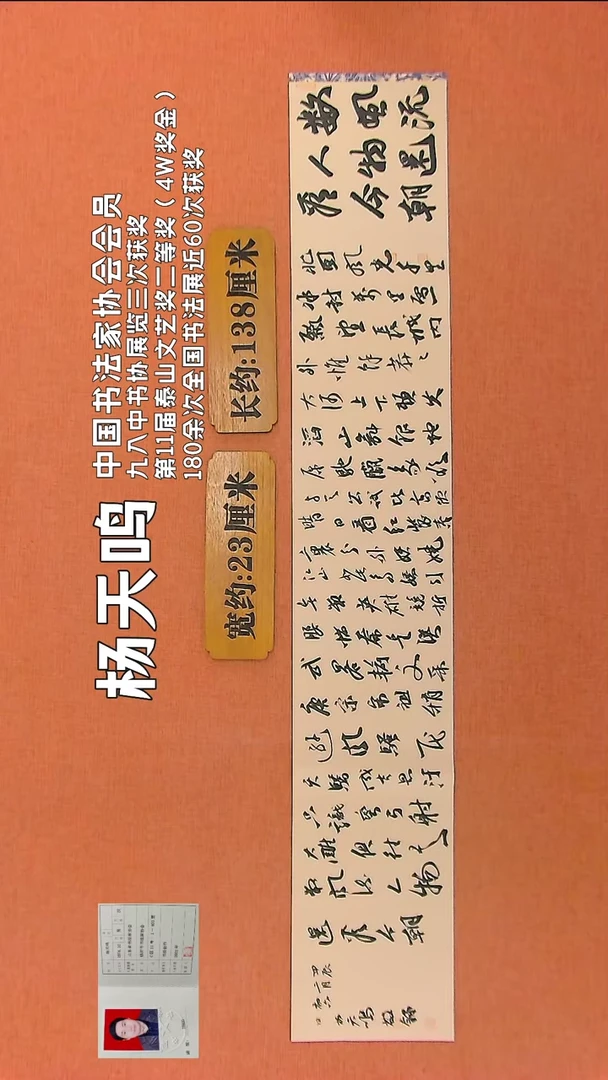 【闪购商品】书法133   中书协会员杨天鸣老师作品