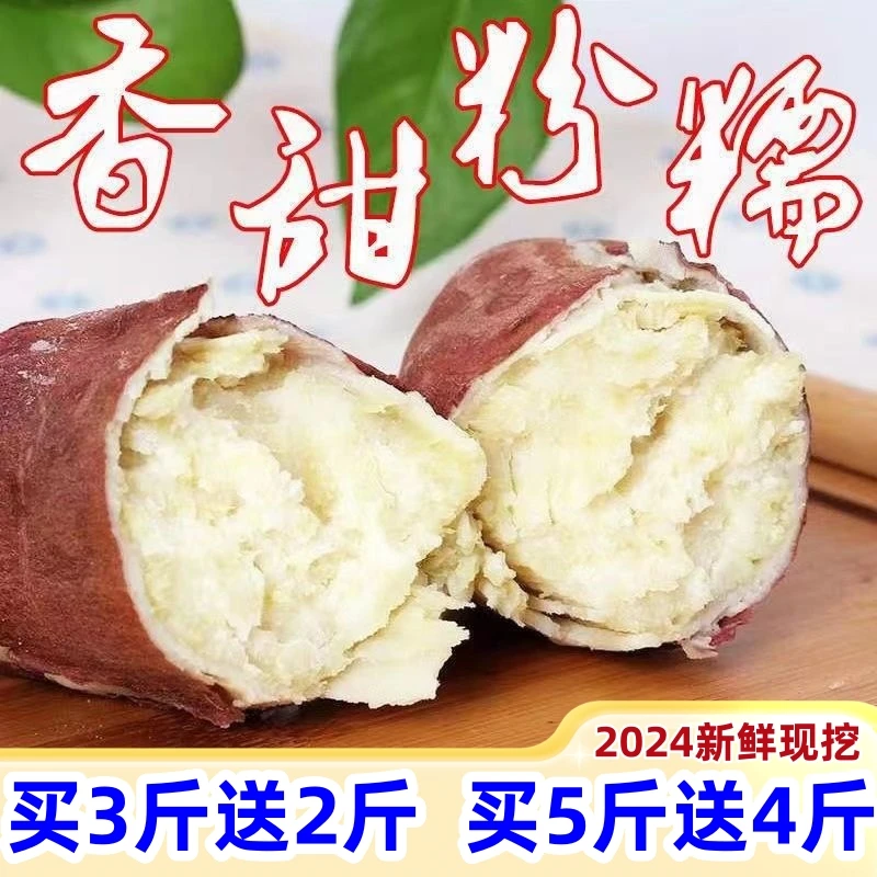 现挖新鲜的白心板栗薯红薯番薯地瓜零食香甜营养夏天烘烤粉广东