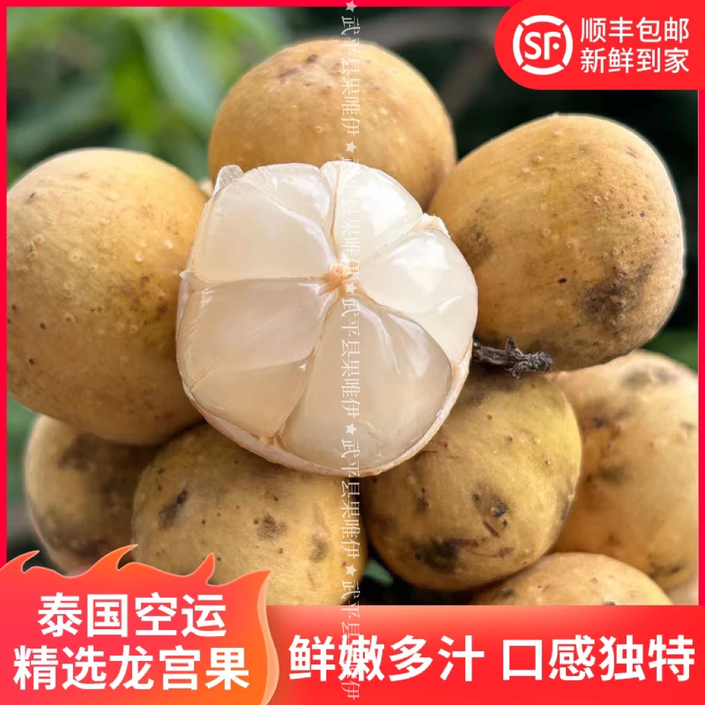 精选泰国空运老树龙宫果耶色果新鲜水果龙贡果鲜甜多汁发顺丰