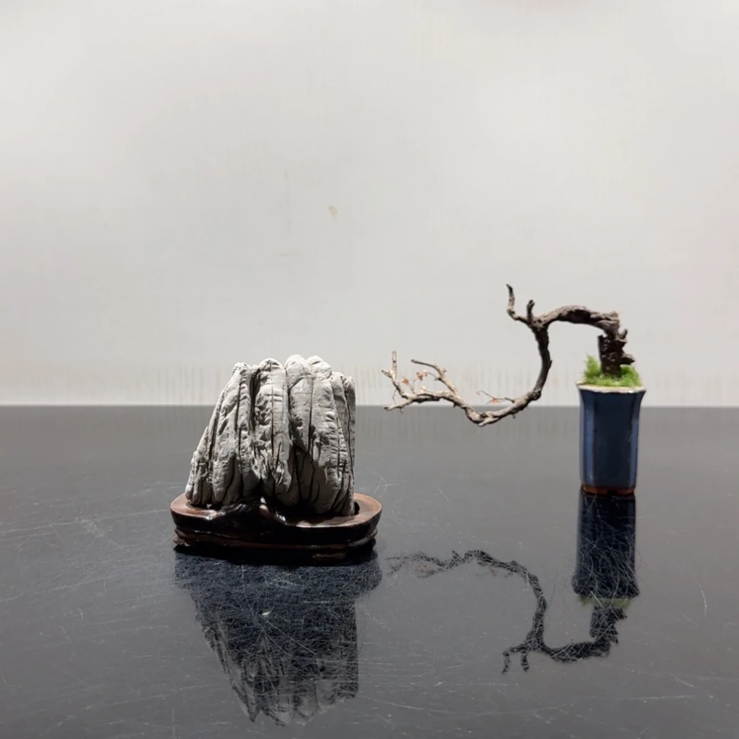 【闪购商品】书法5**1