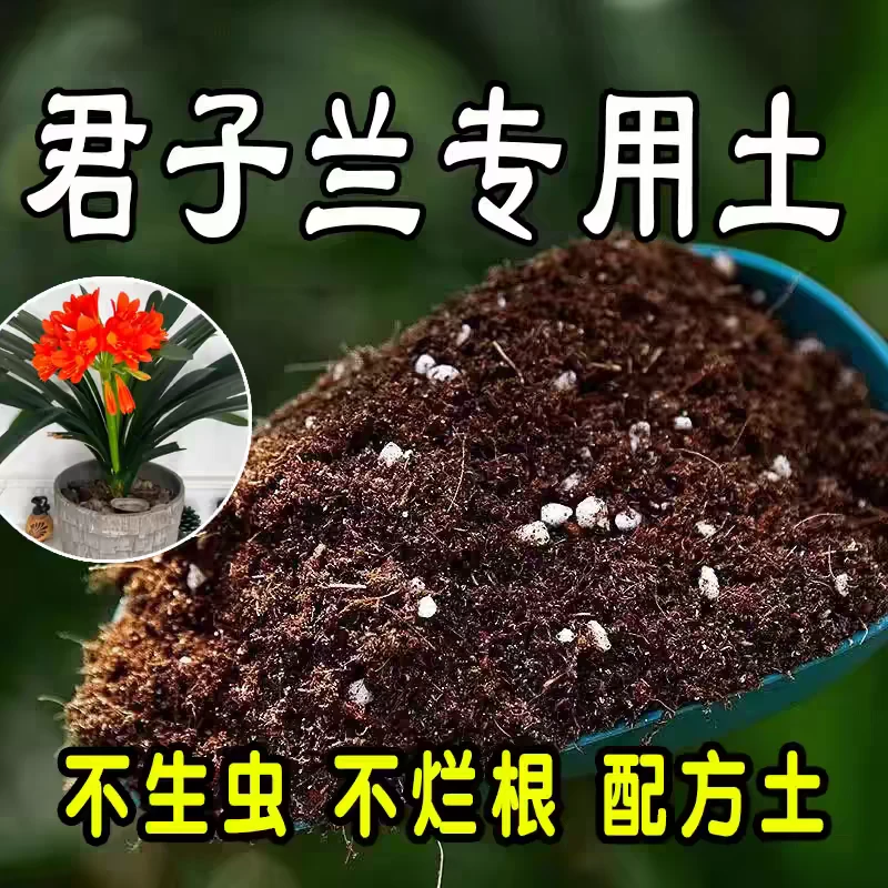 君子兰土异花专用土5斤半