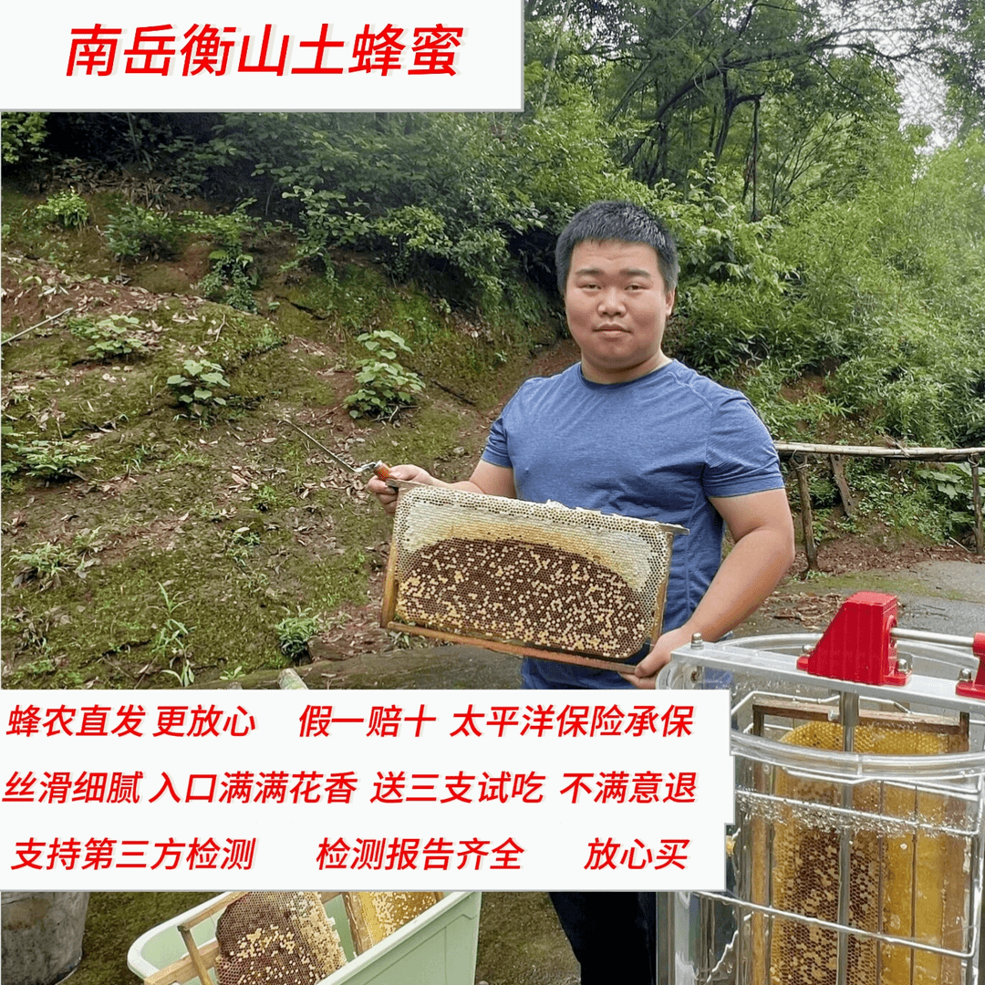 【寿岳竡花】南岳衡山土蜂蜜（买一送一再送三支试吃）      健康冲泡