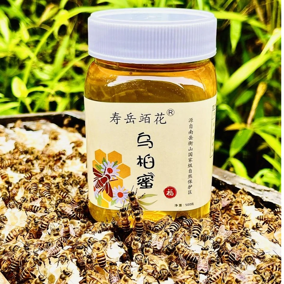 南岳衡山 乌桕蜜