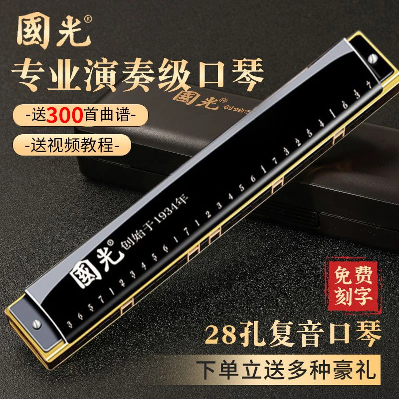 国光口琴专业演奏级28孔重音德国进口音簧24孔复音C调初学者入门