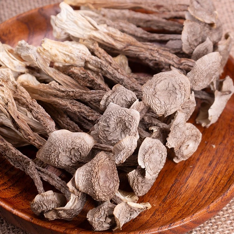 【巧巧优选】云南高海拔 鹿茸菇 农产品250g-500g新鲜晒干食用