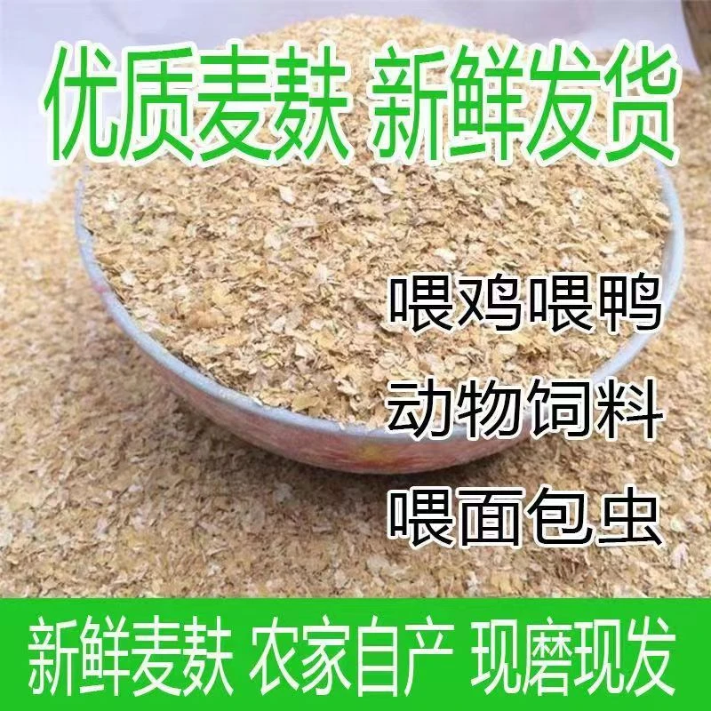 麦麸皮小麦麸鸡鸭虫吃粗麦麸细麦麸饲料钓鱼麦麸麸皮小麦麸皮粉