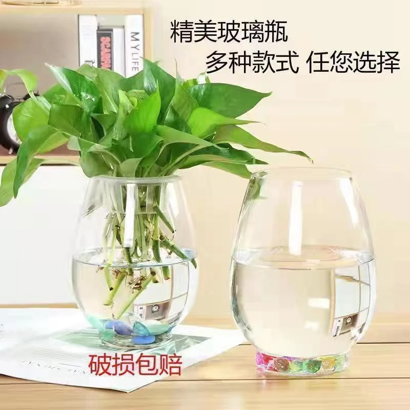 水培植物仿玻璃瓶绿萝花瓶花盆办公室创意水养鱼缸器皿容器定植瓶