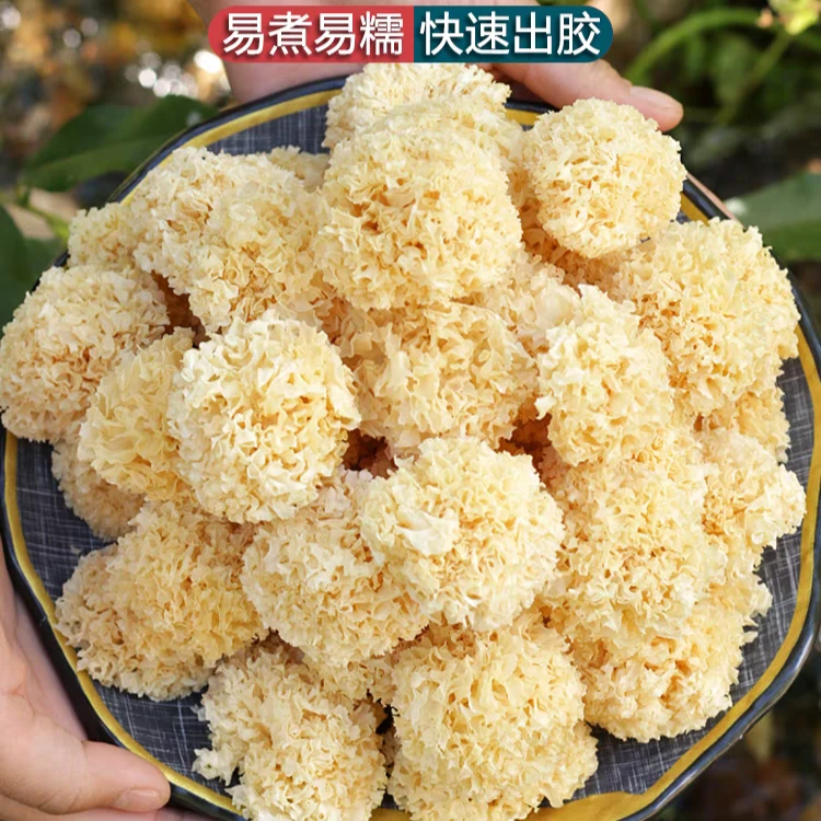 椴木银耳【农产品】新货糯耳羹出胶雪耳干货白木耳新鲜营养严选食用