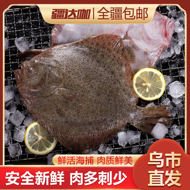 多宝鱼鲜活冷冻发货比目鱼大鸦片鱼鲽鱼海鲜水产450~500g/条深海
