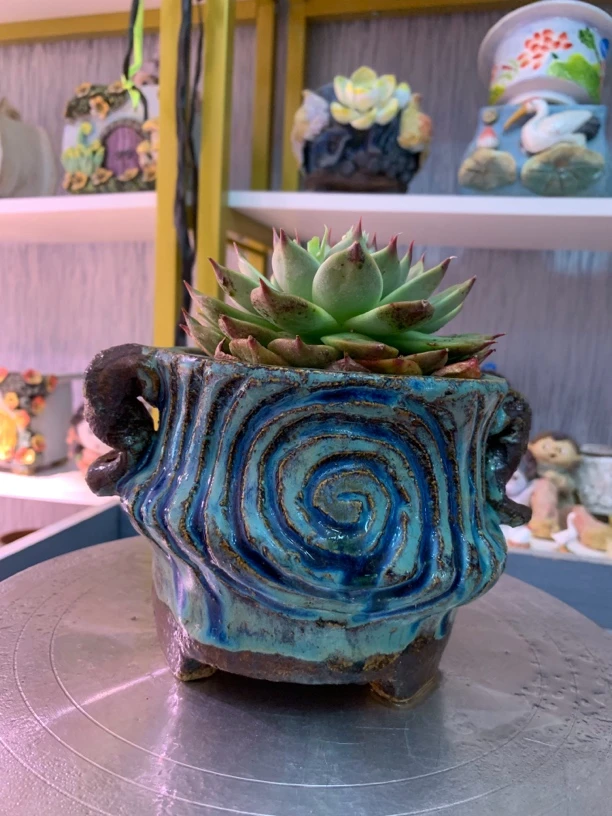 陶然品牌回形纹花盆(带一棵大多肉)