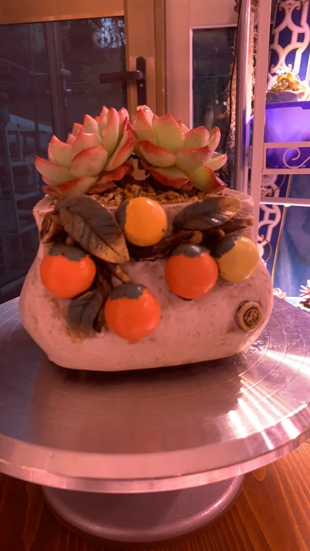 白狐品牌橘色果子花盆