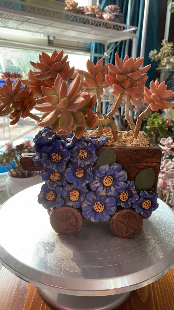 陶然品牌蓝色花车