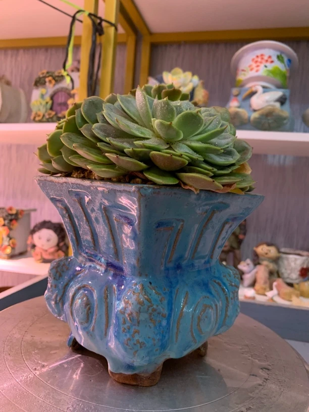 陶然品牌青铜花盆(带一棵群生多肉)