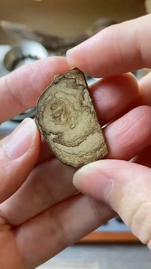 【闪购商品】沉香达拉干虎斑素牌