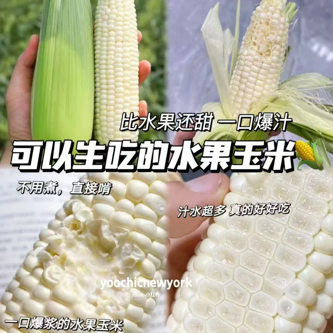 【满39元包邮】生吃水果玉米  2根