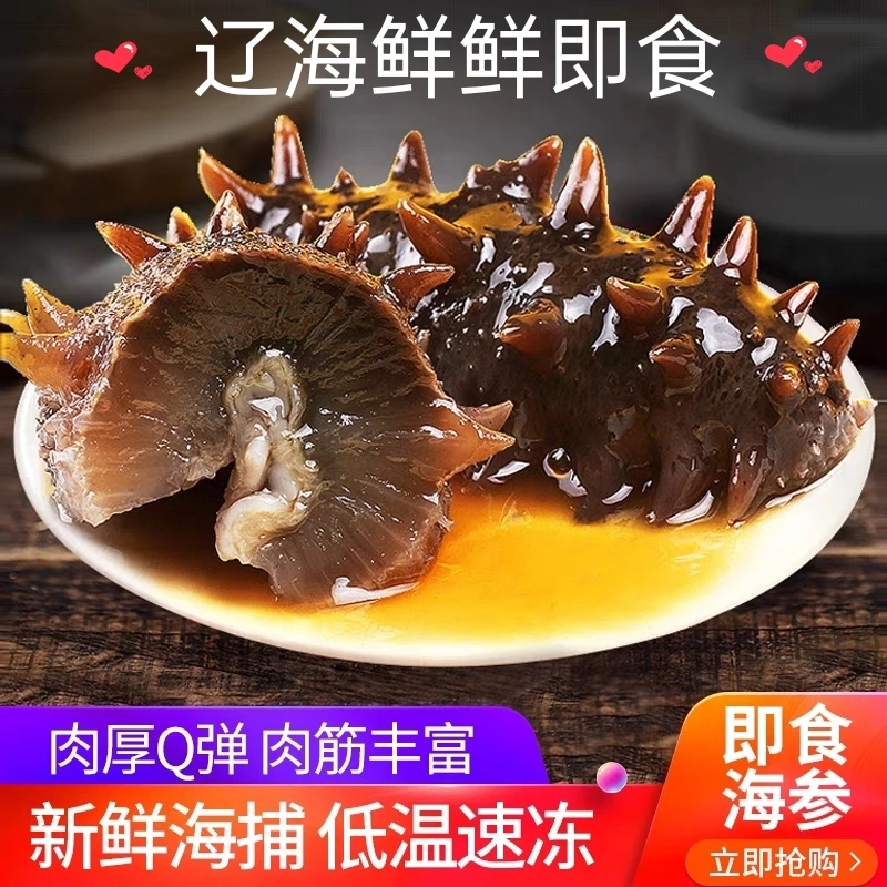 【一只9.9】营养新鲜大连深海辽参刺参即食鲜活海参-25g/根左右