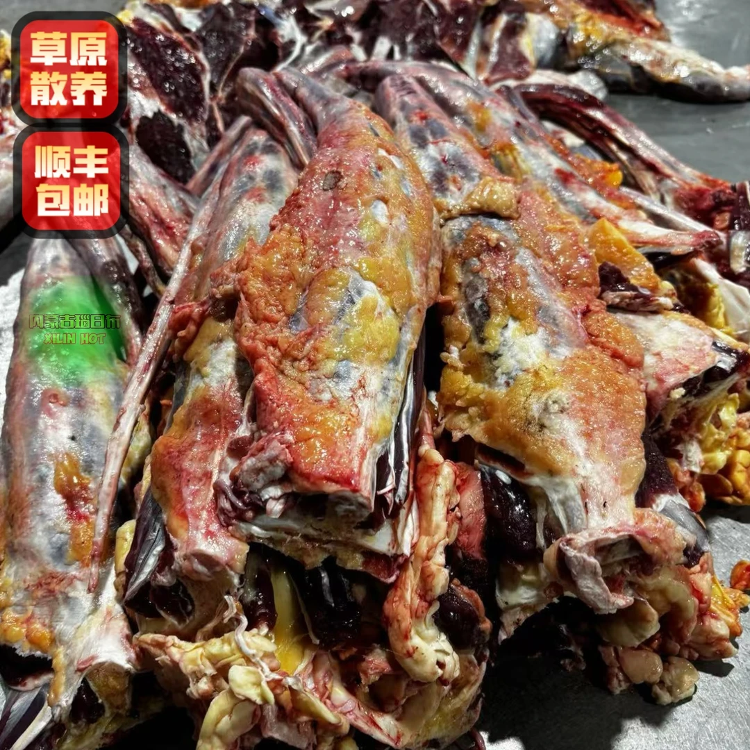 高品质牛尾巴整根切段内蒙古锡林浩特新鲜原切火锅食材拒绝育肥牛