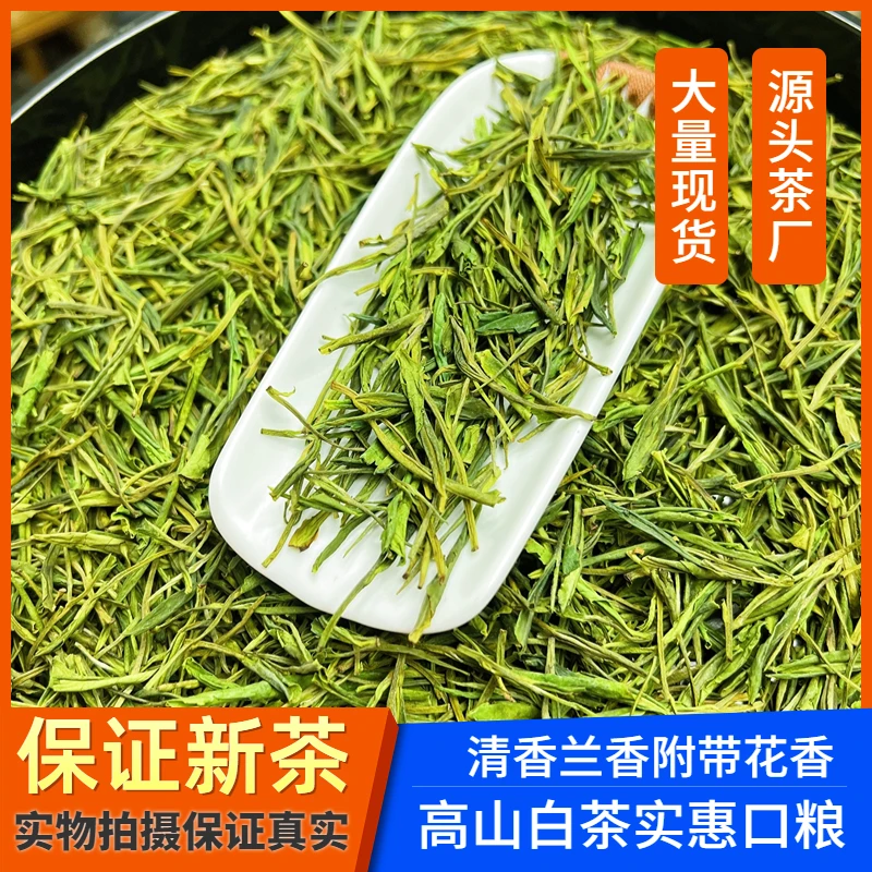2023新茶雨前白茶毛峰高山绿茶春茶浓香兰香口粮茶250g/500g