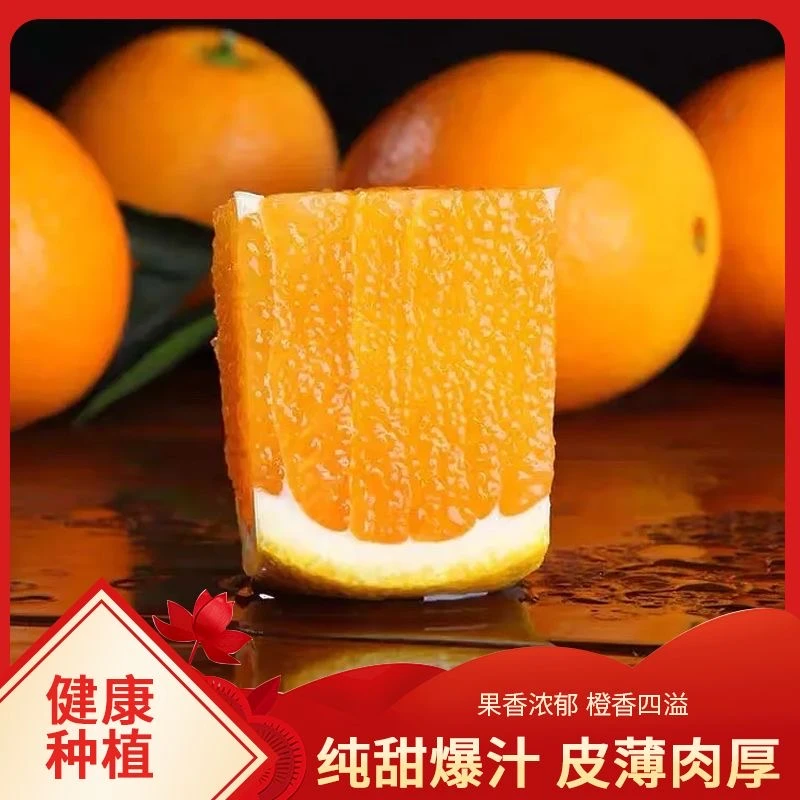 正宗赣南脐橙江西橙子产地直发新鲜应季水果薄皮橙子整箱批发包邮