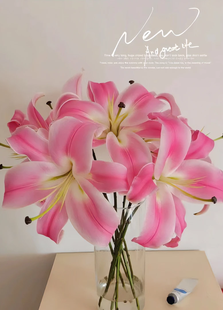 （罗宾娜）香水百合水生鲜切花东北地产鲜切花家庭养花漂亮全国包邮