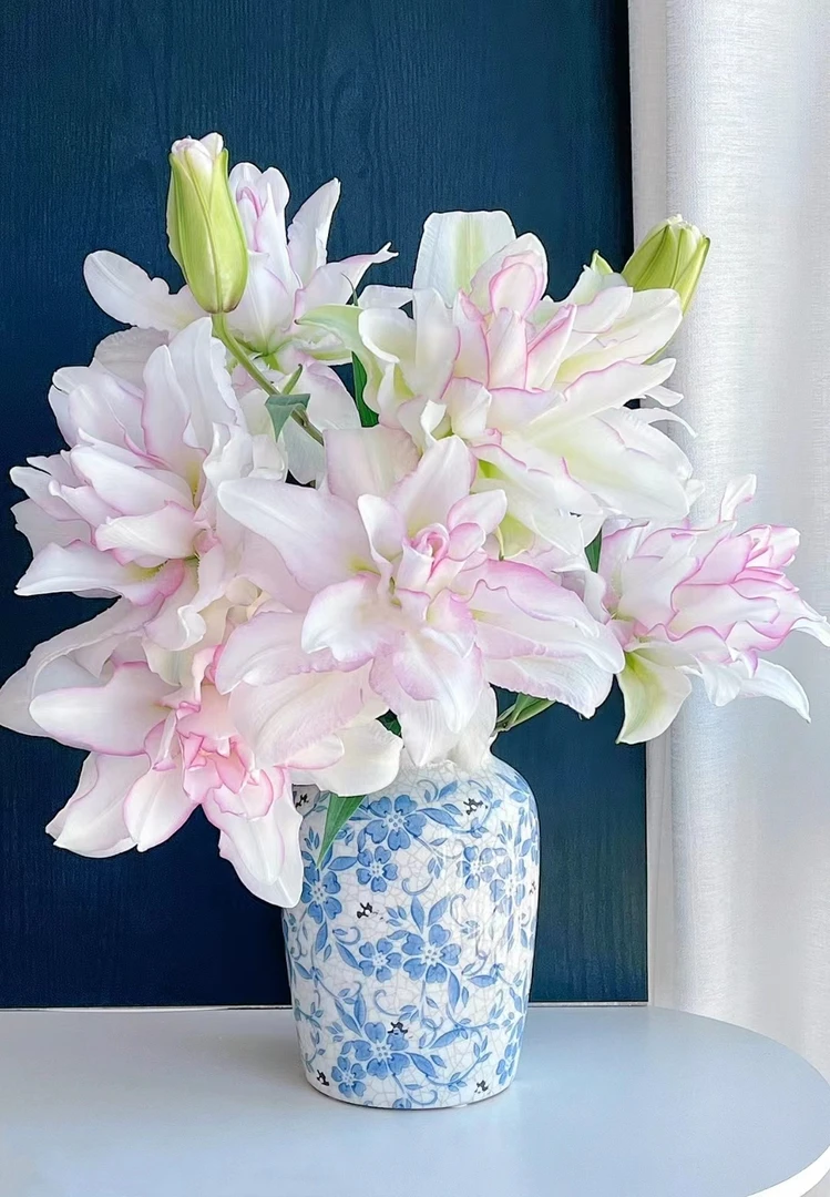 【冰美人重瓣】百合，水生鲜切花，东北地产鲜花 顺丰包邮