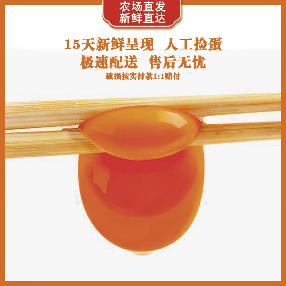 虫草蛋农家散养土鸡蛋 谷物饲养 新鲜现发虫草蛋营养40g鸡蛋10枚