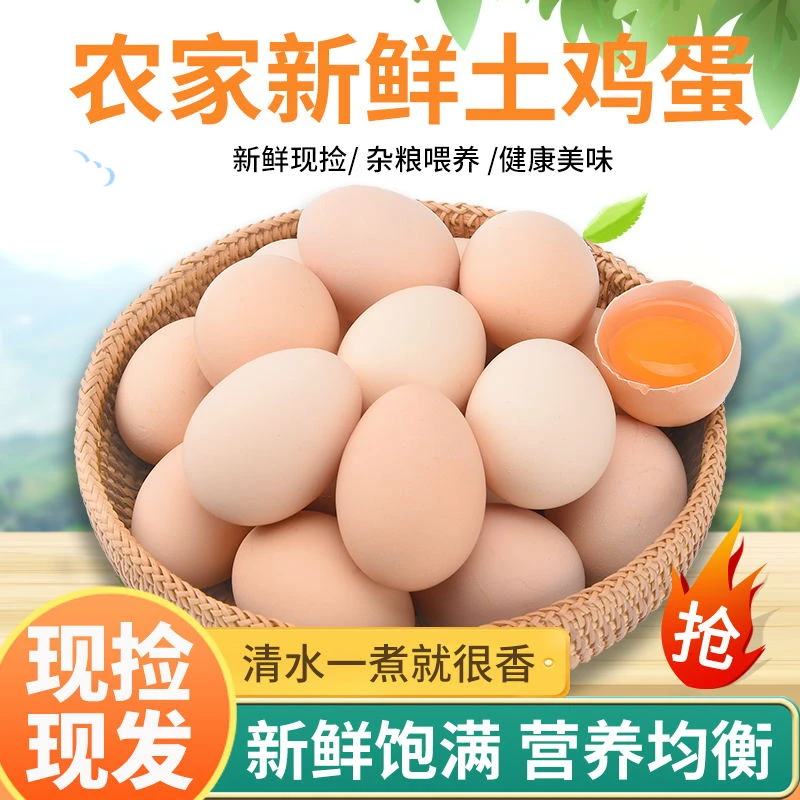 正宗农家喂养山林散养大土鸡蛋10枚笨鸡蛋包邮只卖新鲜蛋现捡现发