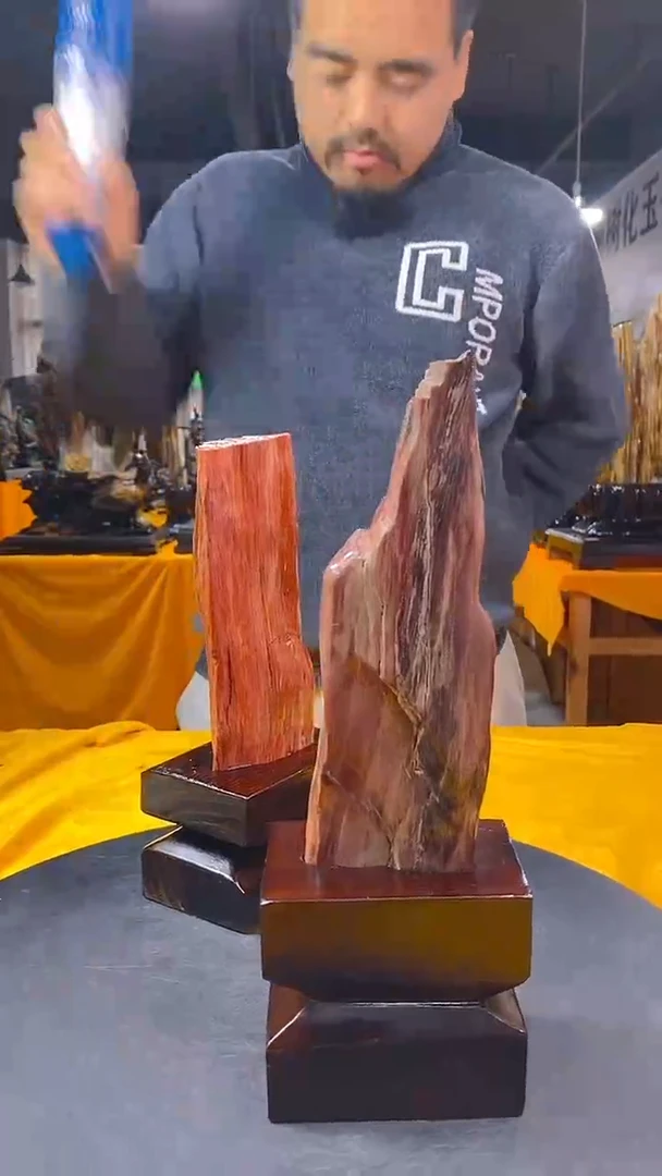 【闪购商品】硅化玉珠宝奇石未镶嵌1