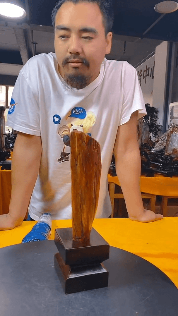【闪购商品】硅化玉珠宝奇石未镶嵌1