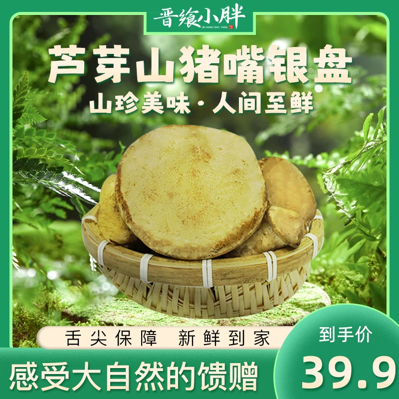 芦牙山特产猪嘴银盘蘑菇50g新鲜干货营养健康煲汤珍稀食材精选品