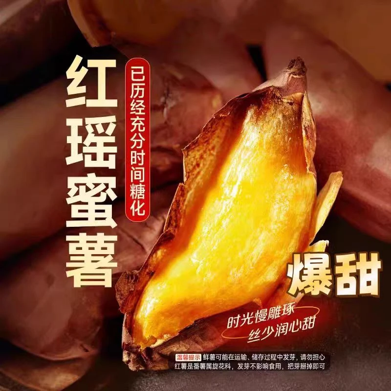 山东红瑶蜜薯榴莲蜜薯玛莎莉
