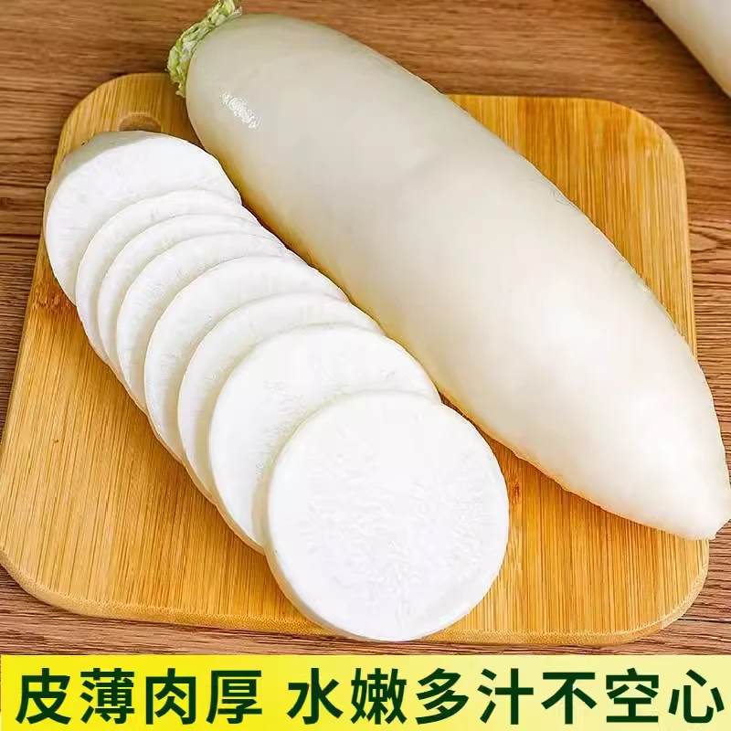 江西白萝卜赣南新鲜当季白皮甜脆爽口萝卜农家自应季蔬菜凉拌菜