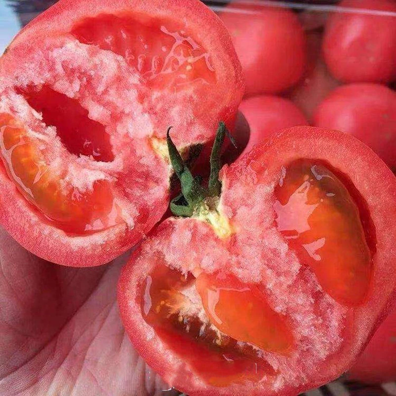 番茄种子大西红柿种籽菜苗蔬菜夏季耐热种四季番茄盆栽地栽简单