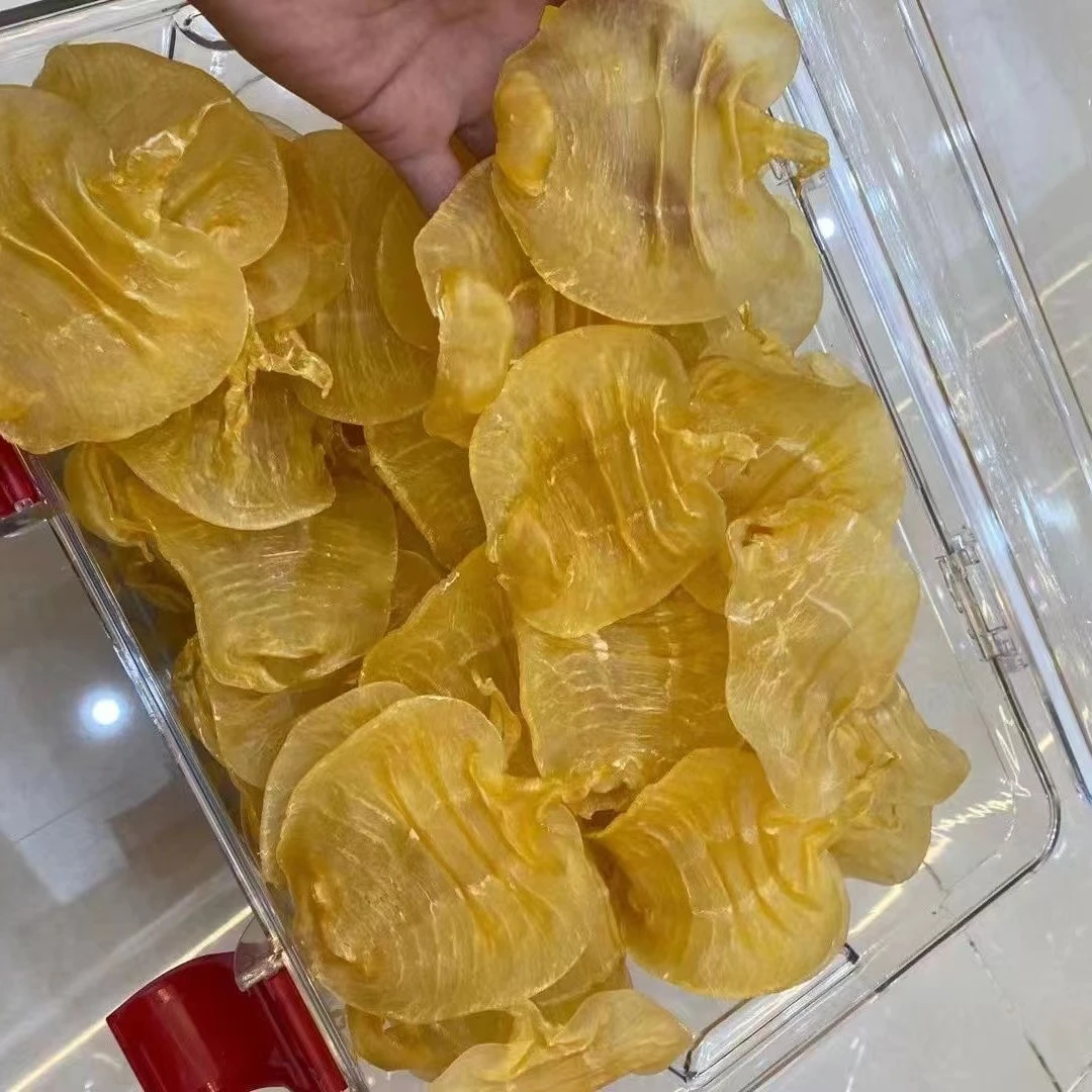 湛江赤嘴花胶深海鱼胶公胶
