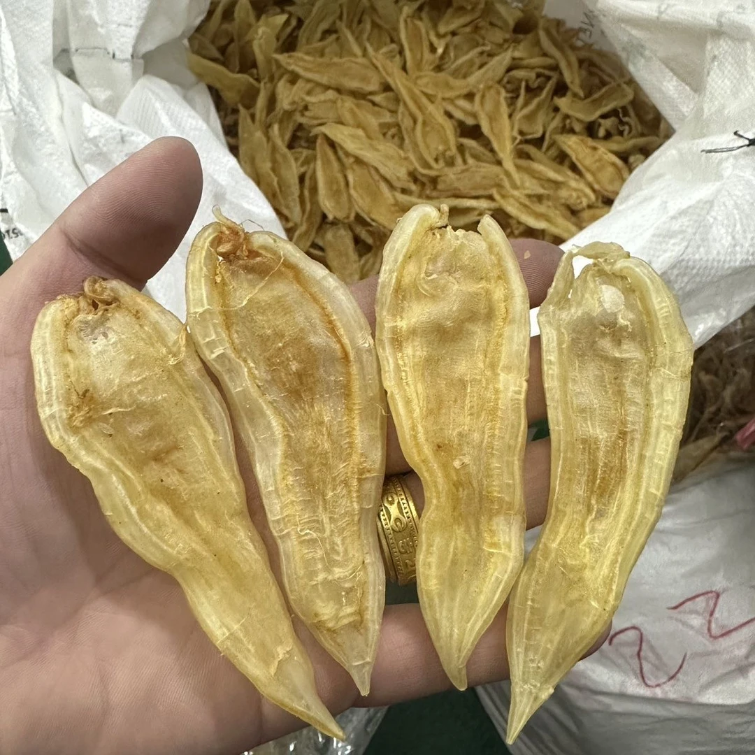 北海双背胶花胶 孕妇月子滋补品