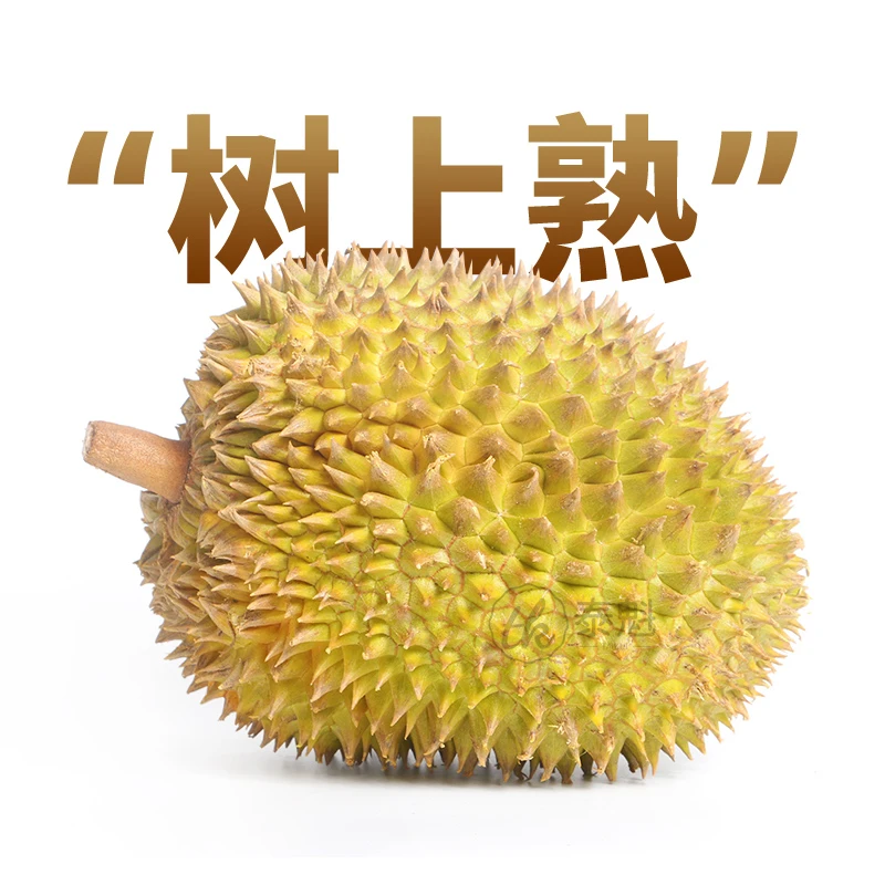【泰魁专注树熟空运】纯果肉链接更划算现开现发