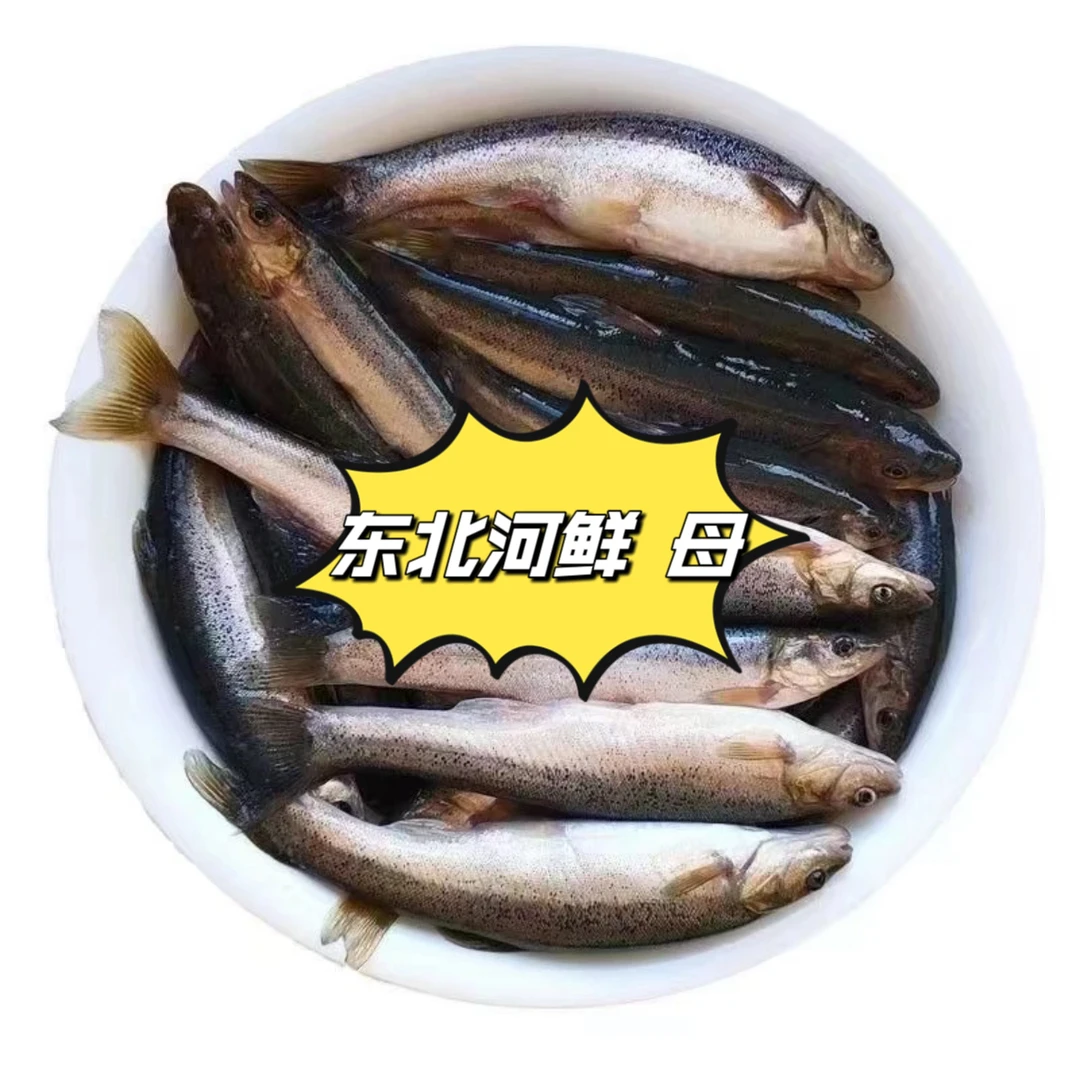 东北河鲜柳根鱼2斤包邮顺丰