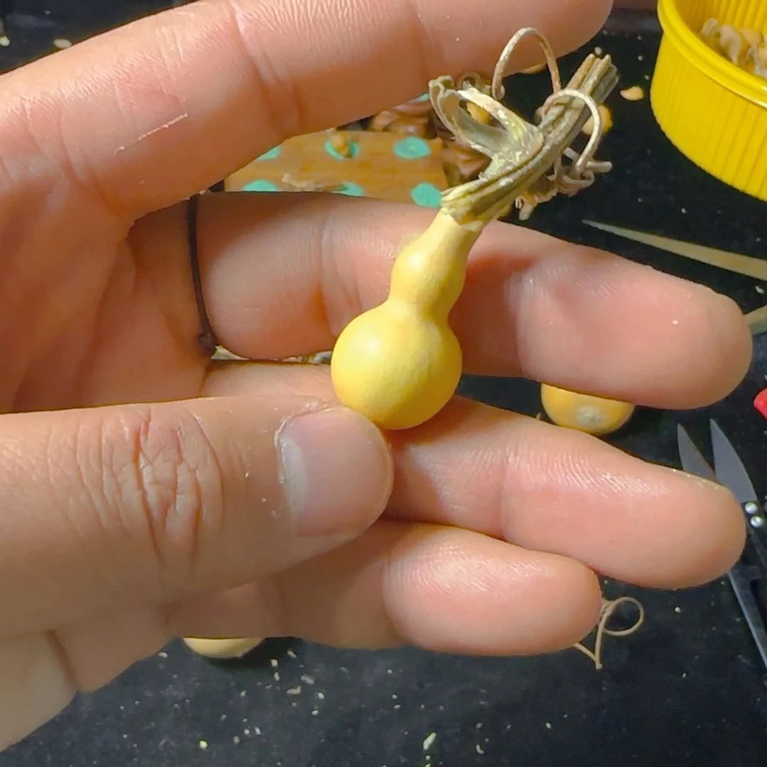 【闪购商品】天然葫芦一***啊