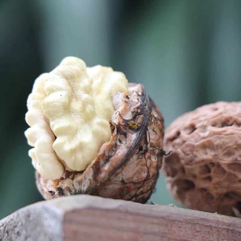 （中通快递）鲜核桃  老树核桃保证新鲜 甜香口感。