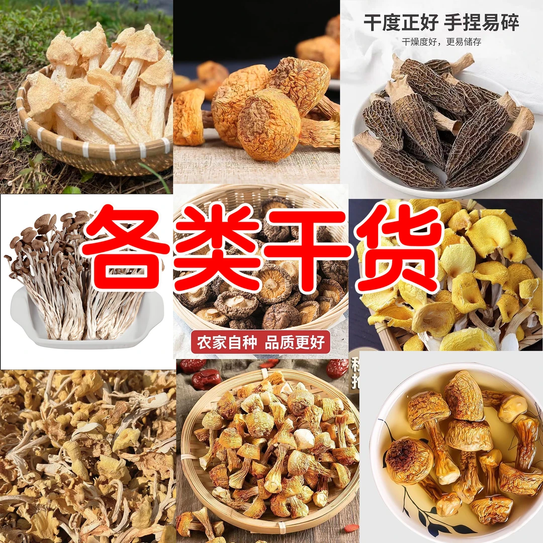 农家自然晒干甄选营养干货菌类煲汤佳品