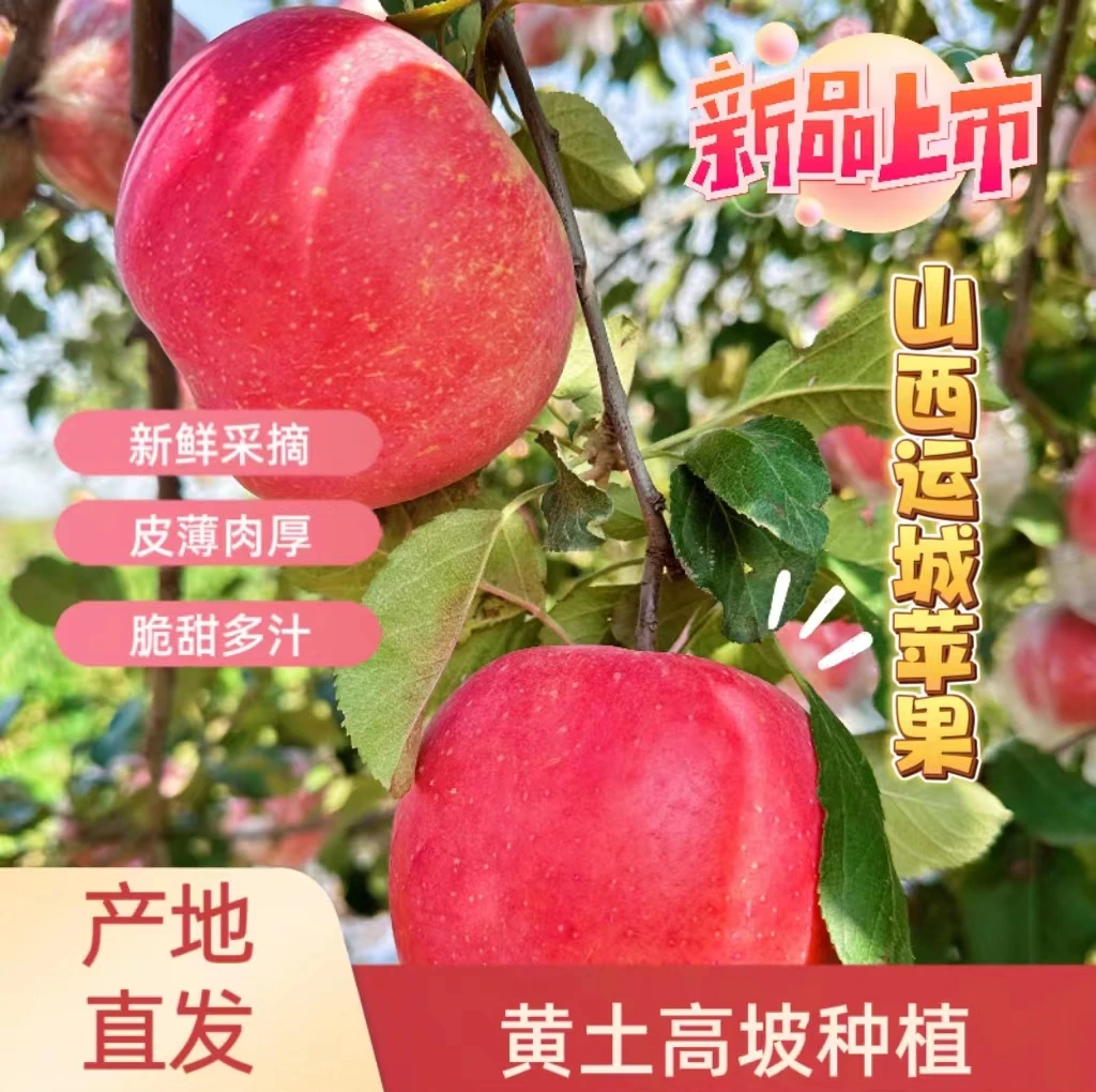 【正宗】山西运城2023年新鲜高原丑苹果当季现摘红富士整箱4.8-9斤